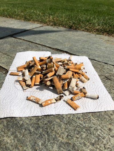 gesammelte Zigarettenkippen